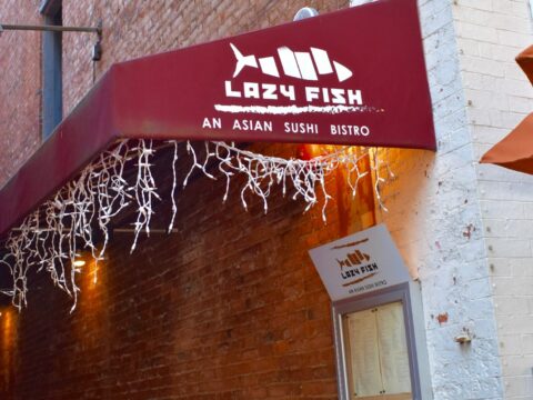Lazy Fish