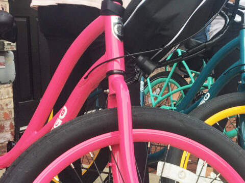Pedego Electric Bikes