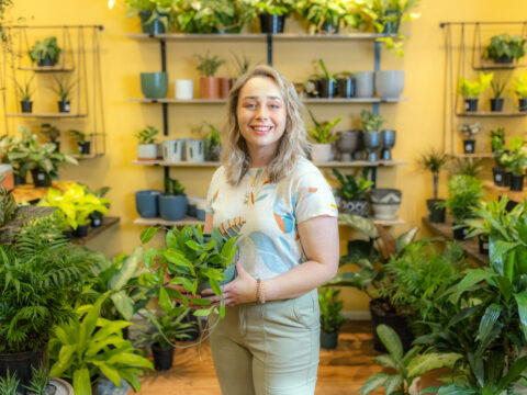 Take Root
